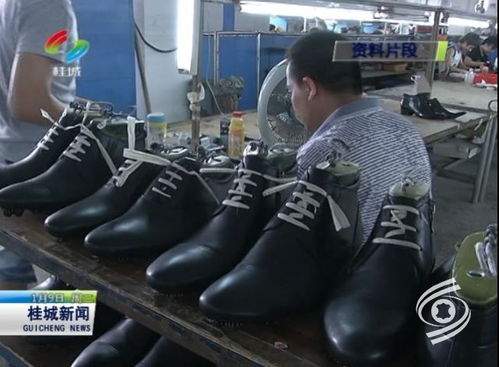 南海鞋業(yè)年產(chǎn)值超百億 2017南海鞋協(xié)做了這些大事