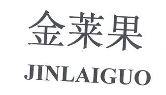金蘋果鞋業天眼查查詢結果 企業背景與鞋業市場分析